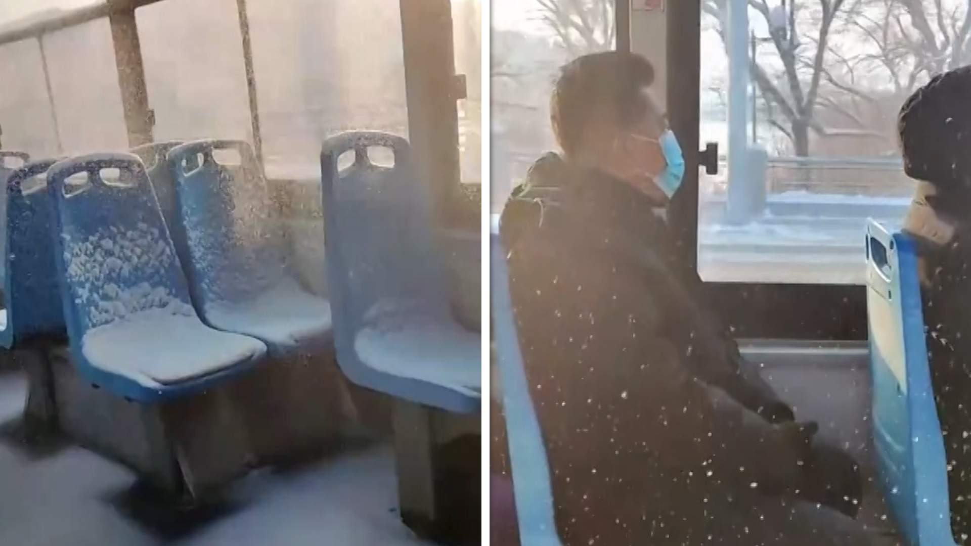 Navikli smo na autobuse koji prokišnjavaju ali baš da veje sneg