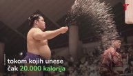 Sumo rvanje, sport koji vodi u bolesti
