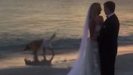 Pas je mladencima "isprljao" venčanje