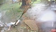 Trula i mokra grana umalo proburazila mladića