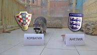 Rakun iz Moskve šalje prognozu rezultata Hrvatska Engleska!