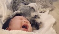 Ova kuca uspavljuje bebu...ušima