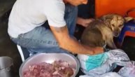 Porodica prokockala psa, jedva ga spasili iz mesare