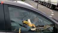 Bananama, đubretom i urlicima protiv vozača koji telefoniraju u vožnji