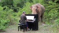 Napustio je sve i počeo da leči bolesne slonove- muzikom!
