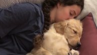 Labradori se tako slatko šćućurili pored vlasnice da ništa nije moglo da ih probudi