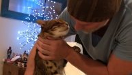 Kad vam neko kaže da mačke nemaju osećanja, vi mu pokažite ovaj video