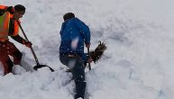 Zaustavili voz da bi iskopali iz snega divokozu