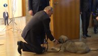 Putin se raznežio kada je od Vučića dobio štene šarplaninca: Ode Paša u Rusiju sa predsednikom