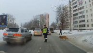 Policajac je stopirao saobraćaj da bi kuca bezbedno prešla ulicu