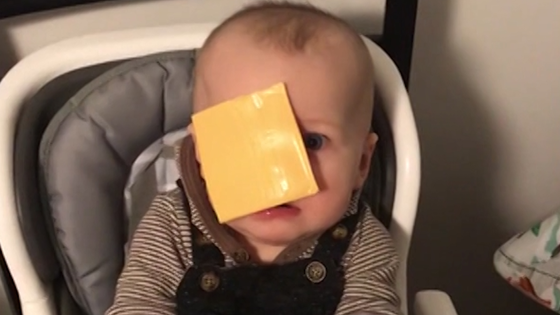 Кидают сыр. Сыр с лицом.
