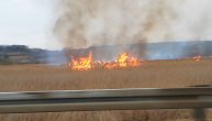 Bukti požar kod Mladenovca