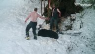 Ubili mečku i mečiće u brlog dok su bili u zimskom snu UZNEMIRUJUĆI VIDEO