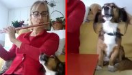 Rođena je nova zvezda! Upoznajte Đuru, psa koji peva uz zvuk flaute