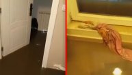 Beogradsko naselje potpuno pod vodom