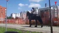 Neobičan prizor: Žena jaše konja usred Novog Beograda