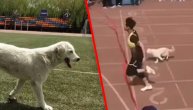 Pas uleteo na trku i u foto-finišu pokazao da je rođen za sprint