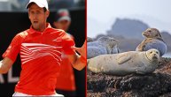 Da li će životinja koju Novak nosi na majici ovoga puta doneti sreću srpskom asu u Parizu?