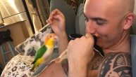 "Alo, samo mene možeš tako da ljubiš": Ne postoji niko ljubomorniji od ove ptičice