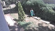 Baba već dve godine krade cveće od komšija iz žardinjere