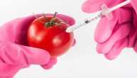 Zbog čega će skraćenica GMO uskoro biti najvažnija u Srbiji?