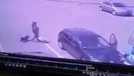 Nezapamćeno: Dve žene usred bela dana ukrale psa kod "Tempa"