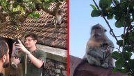 Hteo da napravi selfi s majmunom, a onda je doživeo veliku ispalu
