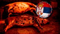 Potvrđena afrička kuga svinja u Srbiji