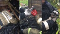 Vatrogasci ugasili požar kada su čuli mjaukanje iz zgarišta- izvukli živo mače