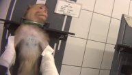 EKSTREMNO UZNEMIRUJUĆI VIDEO! Nemačka laboratorija divljački zlostavlja životinje