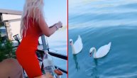 Karleuša hranila labudove, a svi su gledali samo koliko je smršala
