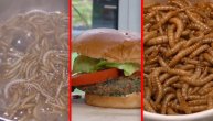 Novi trend da vam se prevrne utroba: Hamburgeri od buba, crva i skakavaca