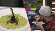 Da li ste za jedan hrskavi takos sa otrovnom škorpijom?!