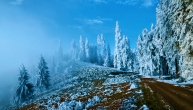 Bajkoviti prizor šume prekrivene snegom probudiće zimsku radost u vama