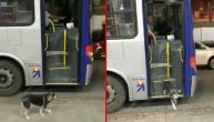 Lutalica svaki dan dobija kolačić od vozača gradskog autobusa