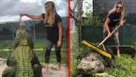 Pored ove lepe plavuše, čak je i aligator miran dok obavlja jutarnju rutinu