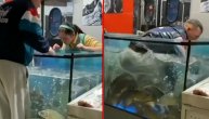 Ženska glavo, znaš li koliko je koštao ovaj prsten? Reče mladić i zaroni u akvarijum pun riba