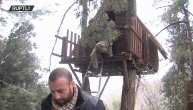 Tri prijatelja od korone pobegla u kućicu na drvetu