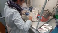Ovako izgleda testiranje na koronu u laboratoriji u Batajnici