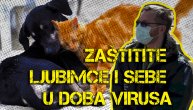 Važno je znati kako zaštititi ljubimce u doba korone i kako virus utiče na životinje