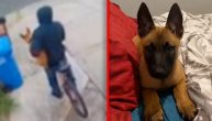 Medicinskoj sestri ukrali štene, policija objavila snimak lopova