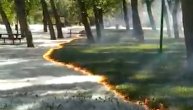 Da li ste nekada videli ovako nešto? Vatra progutala "mace"