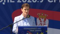 Brnabić: Samo zajedno možemo da pobedimo izazove