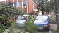 Nevreme u Nišu oborilo drvo, oštećeno sedam automobila
