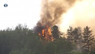 Bukti požar kod manastira Studenica, vatrogasci ne mogu da obuzdaju vatru zbog vetra