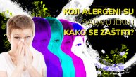 Sve o alergijama: Kada se javljaju i kako se zaštiti