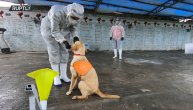 Ovim njuškicama neće promaći nijedna zaražena osoba