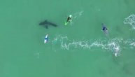 Dron usnimio zastrašujuću scenu: Mladići surfovali, nisu ni znali da ih "merka" bela ajkula