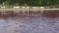 I Srbija ima roze jezero i na sat vremena je od Beograda