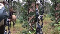 Jelen mu je prišao na nekoliko metara ali on nije odapeo strelu: Lovac sa srcem kao kuća
